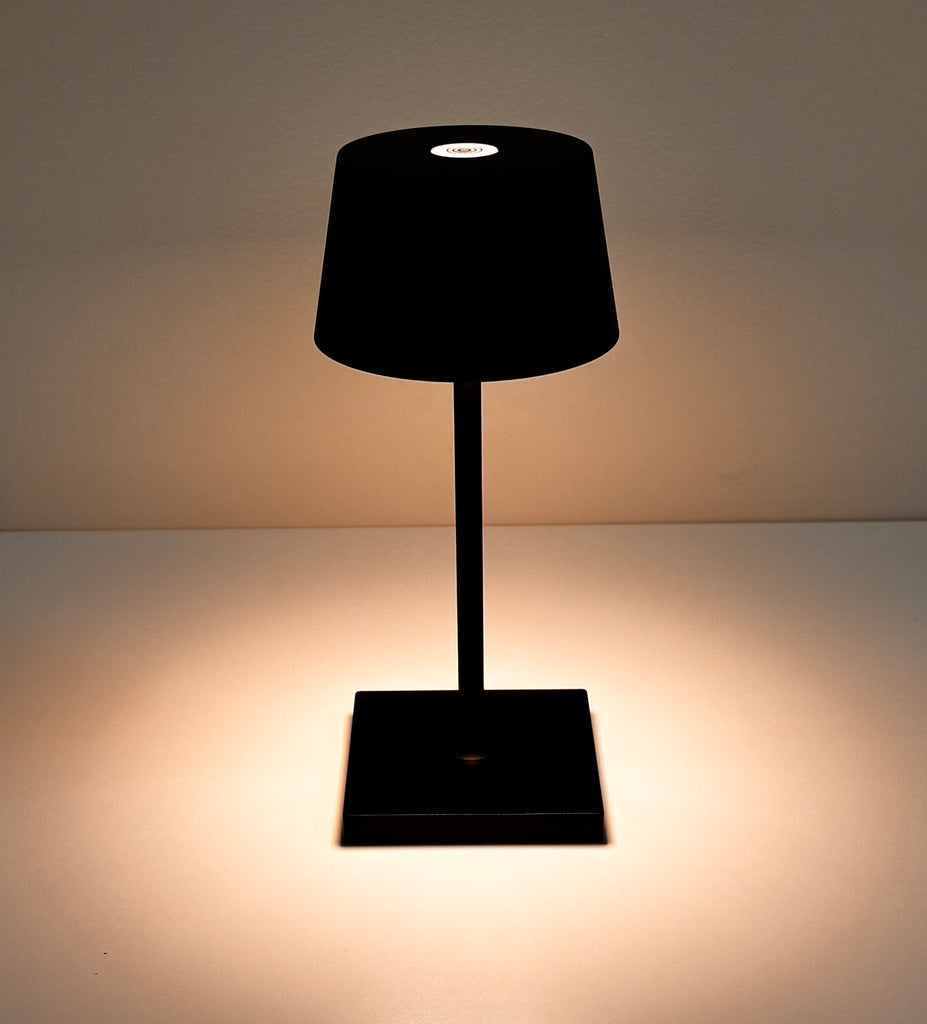 Vari-Lamp Mini Black Body