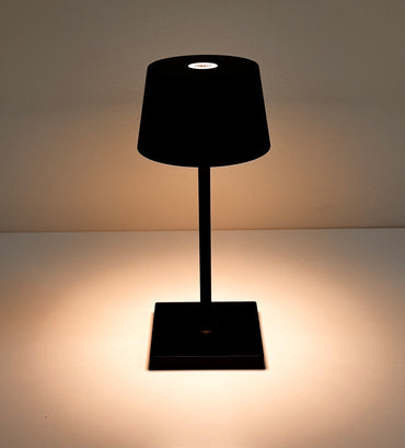 Vari-Lamp Mini Black Body