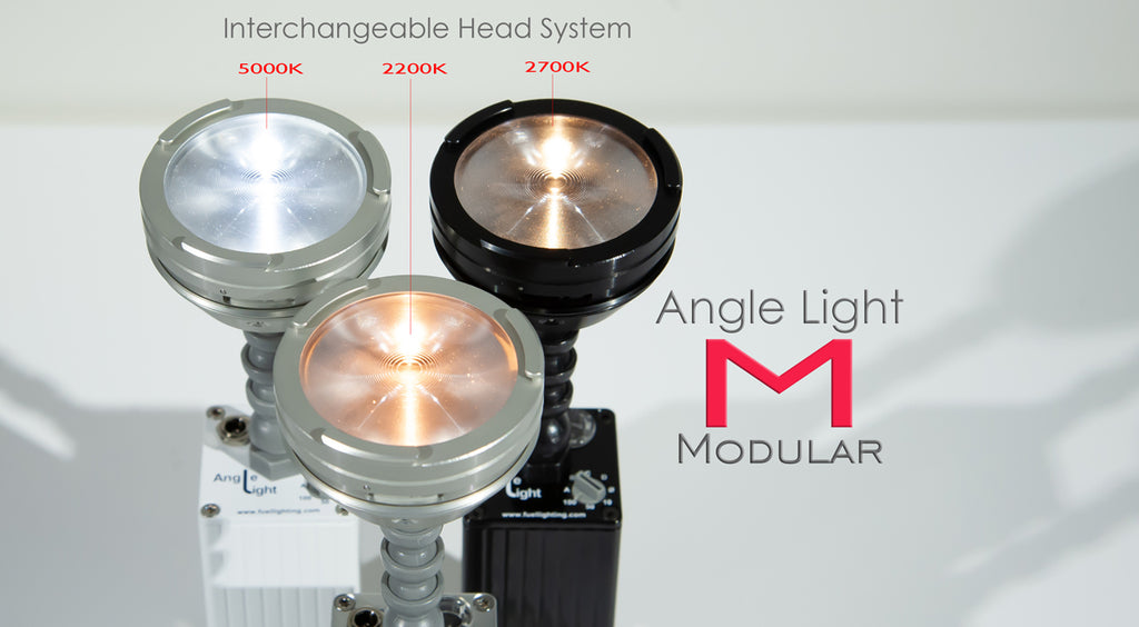 Angle Light M - Modular Spotlight